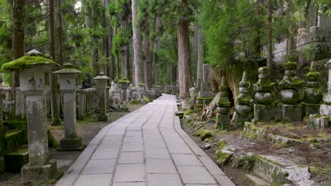 templo sagrado de mt. koya con exuberante vegetación en japón