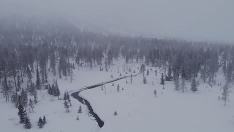 Aerial-of-a-frozen-forest-with-snow-covered-trees-and-a-icy-river-in-Idre,-Sweden-during-a-cloudy-day-with-fog