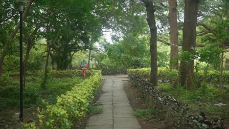 an empty path in a park filled with green bushes and trees