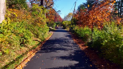 a low altitude aerial view over a quiet country road with colorful trees on both sides on a sunny day in autumn