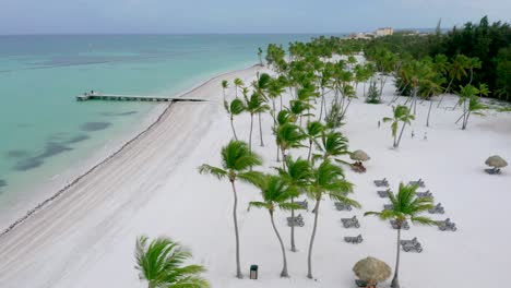 Malerische-Aufnahme-Von-Juanillo-Cap-Cana-Beach,-Kokospalmen,-Blaues-Wasser,-Weißer-Sand,-Strandkörbe