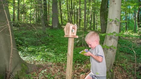 young blonde boy in the woods, learning about environment while exploring and playing different games