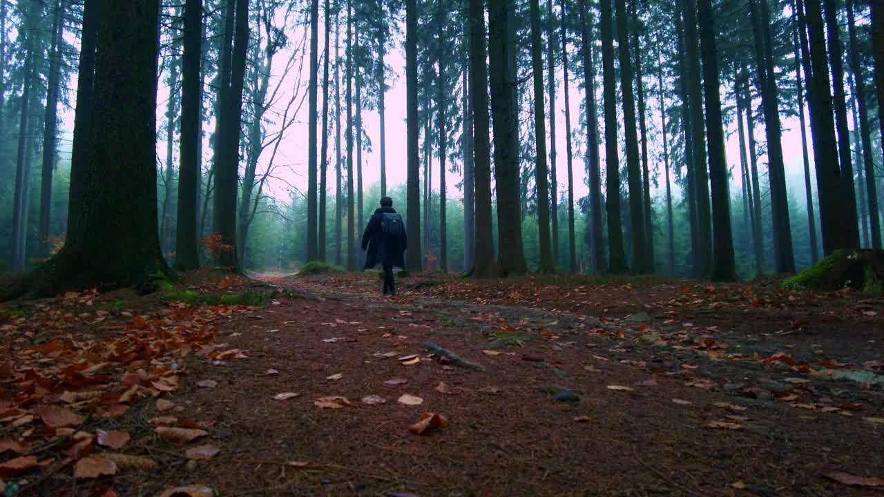 Low angle shot of a male hiker walking through gravel path surrounded by dense vegetation on a cloudy day