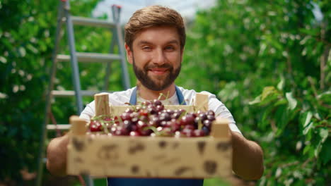 farm owner showing cherry holding fruit box in tree orchard garden greenhouse.