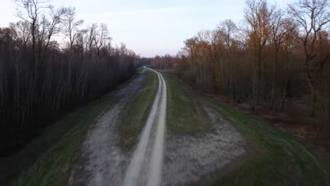 [drone] toma baja y rápida sobre un camino en el bosque aumentando la altitud