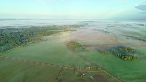 aerial shot of an open green field with fog and mist
