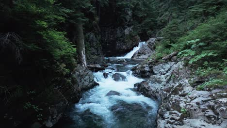 Stationary-scenic-shot-of-small-waterfall-and-river-flowing-through-lush-green-forest-in-the-Pacific-Northwest