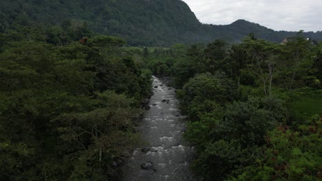 a river surrounded by jungle environment in the east of bali on a cloudy morning, aerial