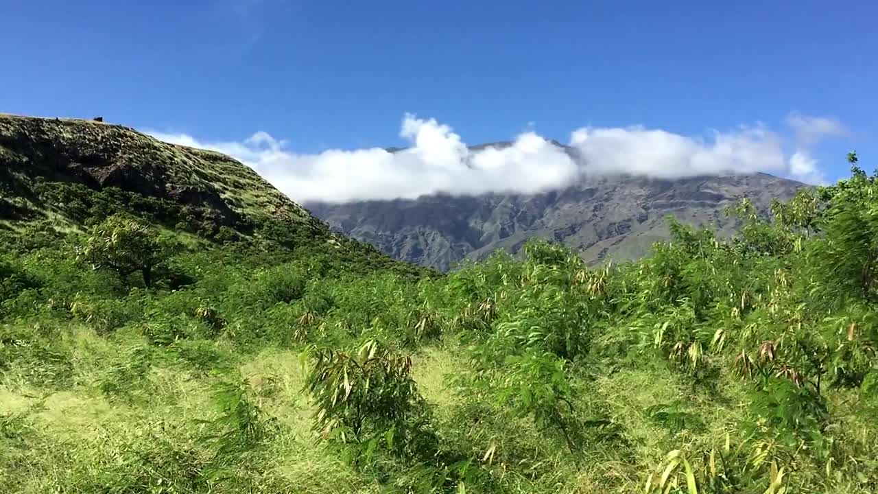 Beautiful view after Road to Hana in Maui, Hawai'i