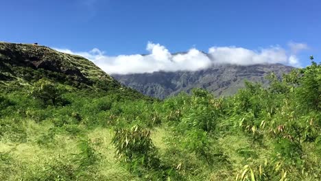 beautiful view after road to hana in maui, hawai'i