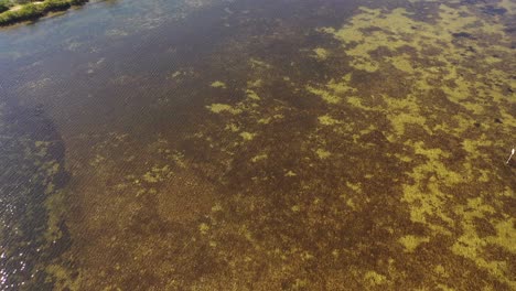 Agua-Clara-En-El-Golfo-De-México-Cerca-De-Hudson,-Florida