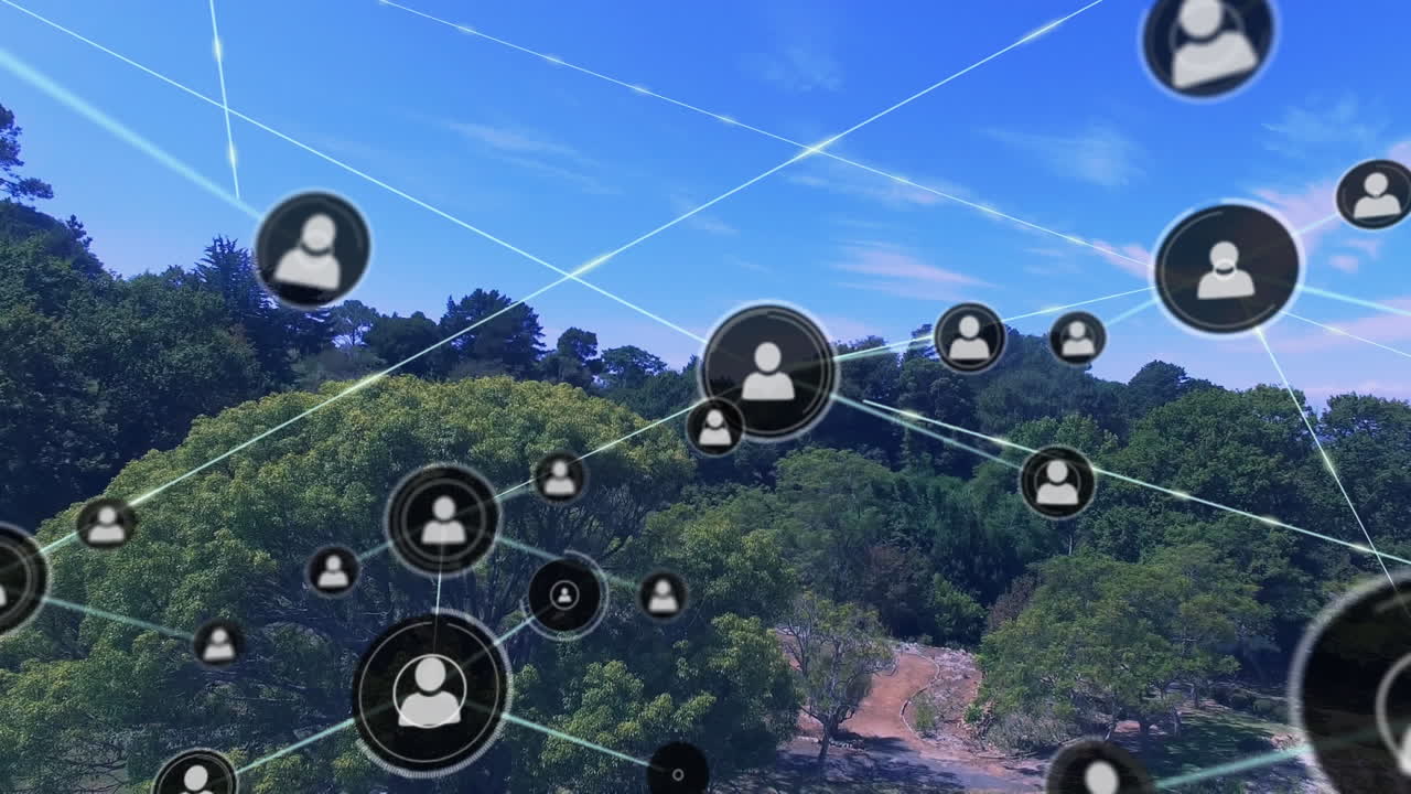 푸른 하늘을 배경으로 숲의 공중 뷰 위에 프로필 아이콘의 네트워크의 애니메이션