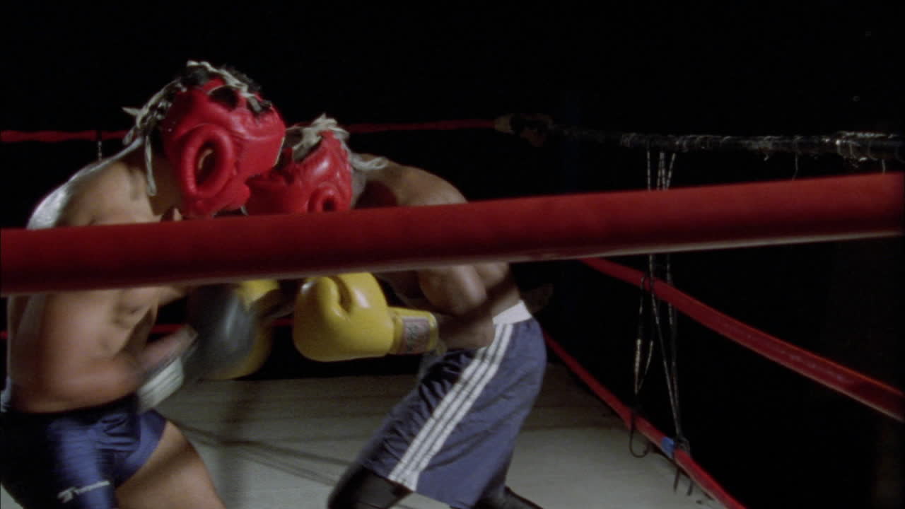 dos boxeadores peleando en un ring de boxeo 1