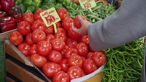 person buying tomatoes at a farmers market