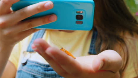 Hand,-Schmetterling-Und-Mädchen-Mit-Smartphone