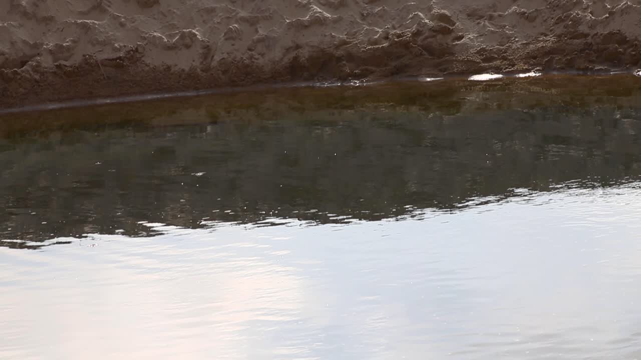 일출 동안 모래 바닥과 하늘 반사가 있는 아름다운 얕은 호수