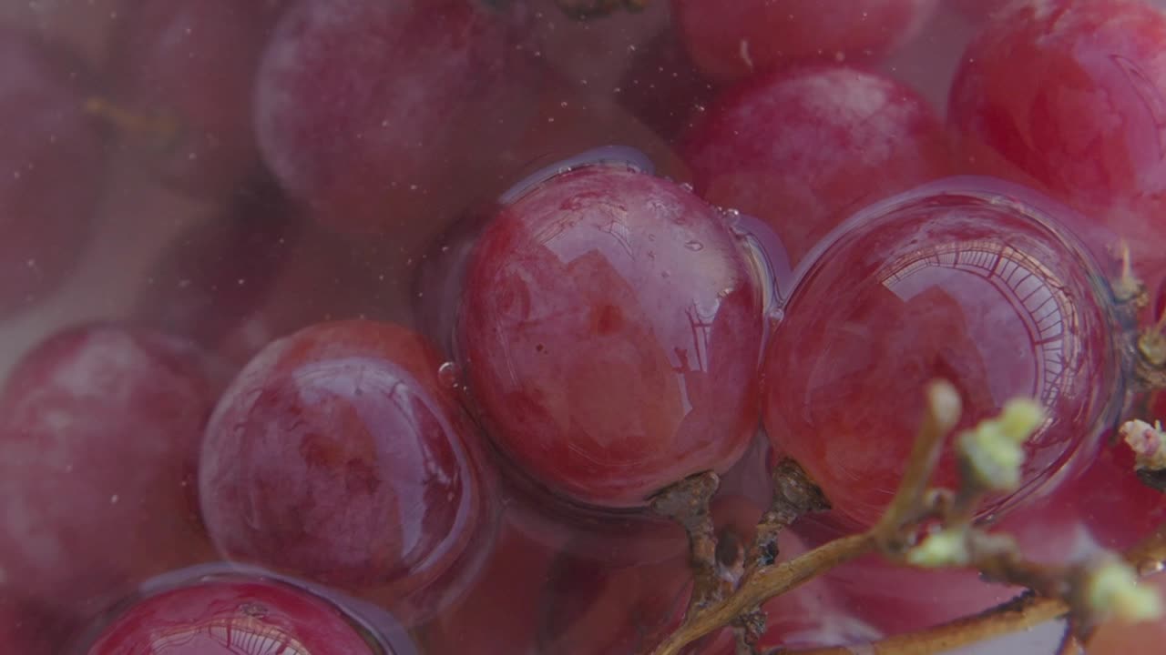 lavado de uvas rojas