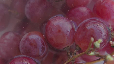 washing red grapes