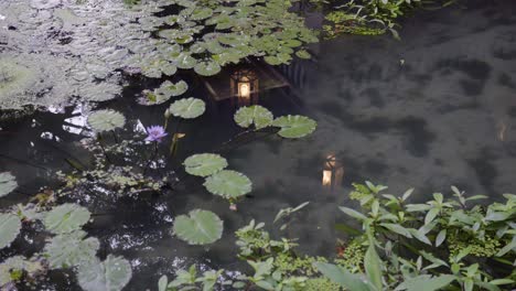 Disparo-De-Movimiento-Lento-En-La-Parte-Superior-De-Un-Estanque-Asiático-Con-Nenúfares-Y-Reflejos-De-Linternas-En-El-Agua