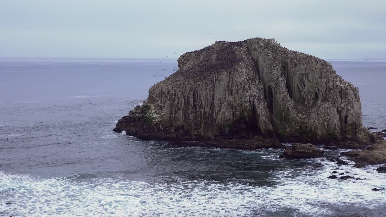 Naturreservat Punta Peña Blanca i Algarrobo, Valparaíso, Chile.