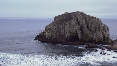 Naturschutzgebiet-Punta-Peña-Blanca-In-Algarrobo,-Valparaiso,-Chile