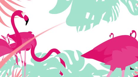 flamingos and leaves.[loop]