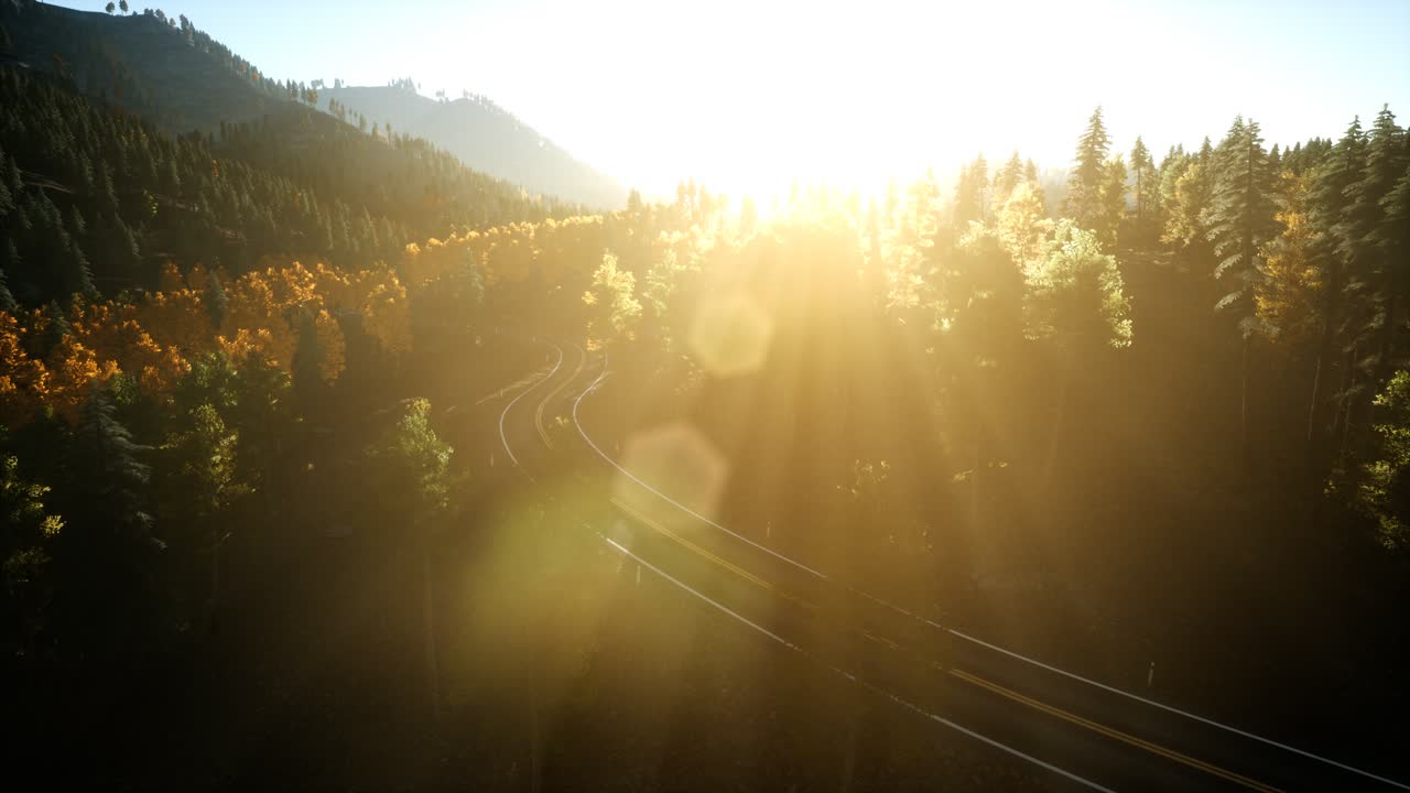 해질녘 산에 있는 소나무 숲 위로 공중 드론 보기 비행