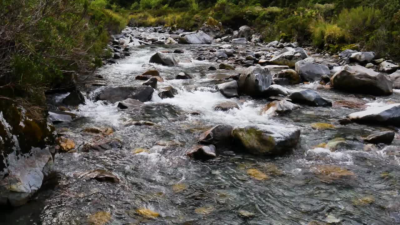 Natural shot of flowing Falls Creek between stones and rocks in Wilderness of New Zealand