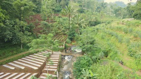 vista aérea del paisaje rural de indonesia