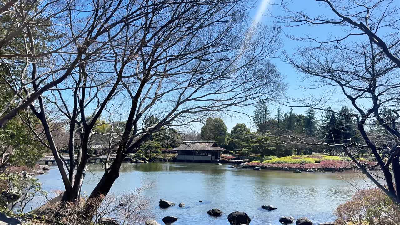 Estanque tranquilo de jardín japonés con árboles y rocas bajo un cielo azul claro