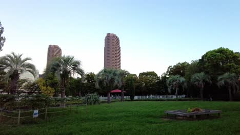 the beautiful park in tokyo