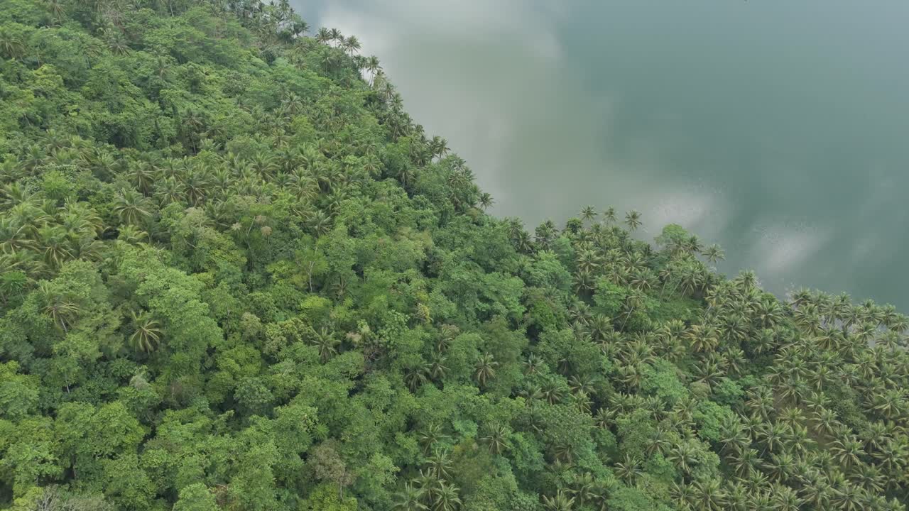 drone volando bajo sobre frondosos árboles de la selva hacia el lago mahucdam en surigao del norte, filipinas