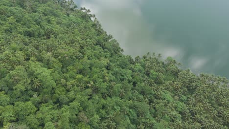 Drone-Flying-Low-Over-Lush-Jungle-Trees-Towards-Mahucdam-Lake-in-Surigao-Del-Norte,-Philippines