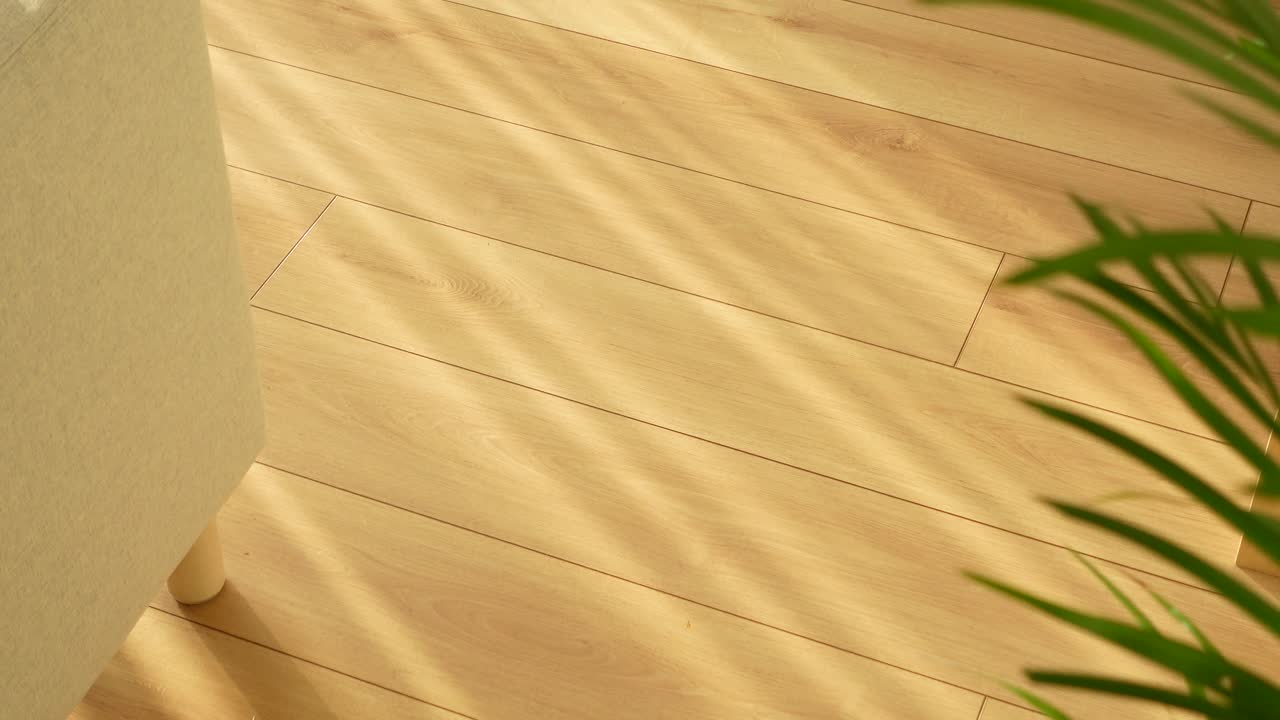 Interior with wooden flooring and furniture