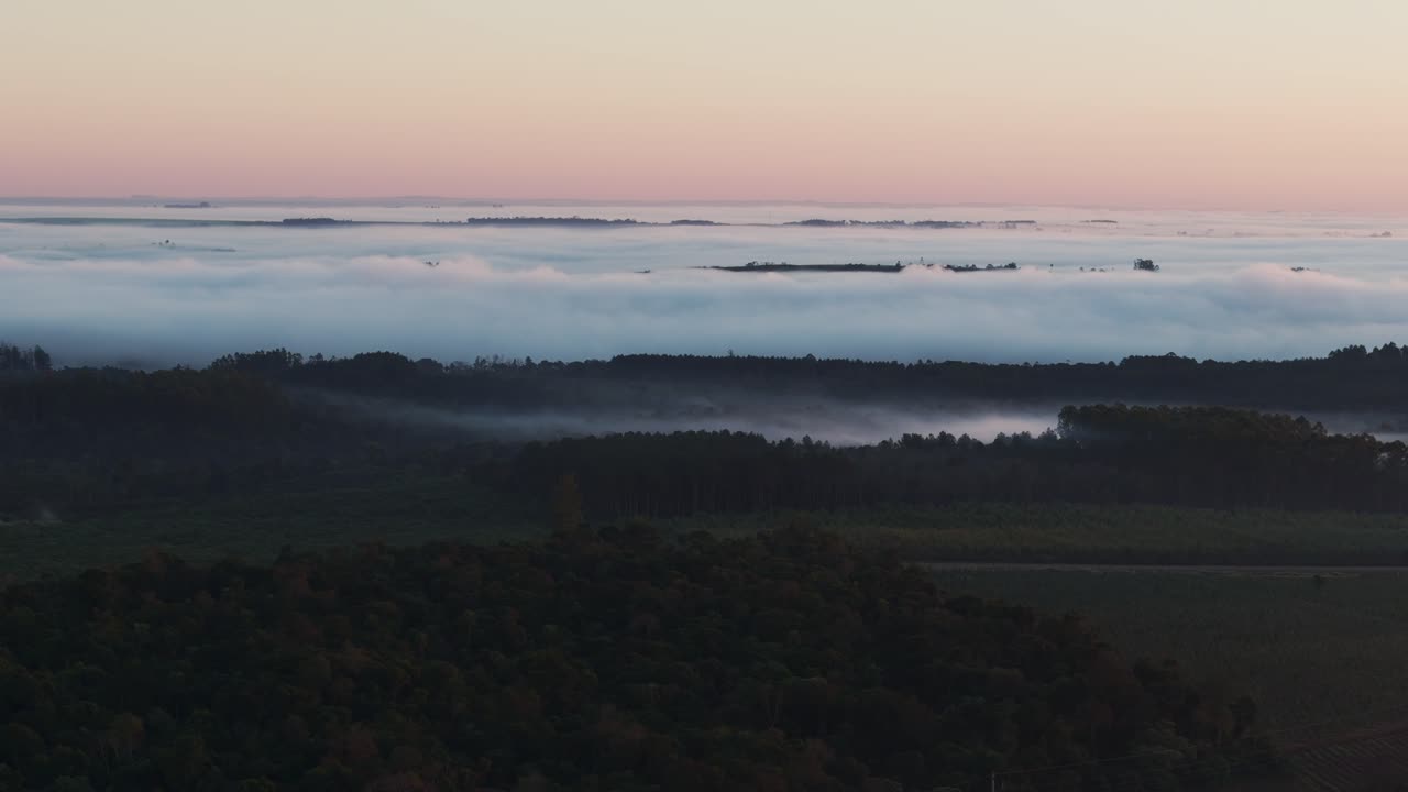 Misty Landscape at Dawn or Dusk