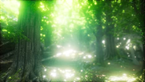 forest of beech trees illuminated by sunbeams