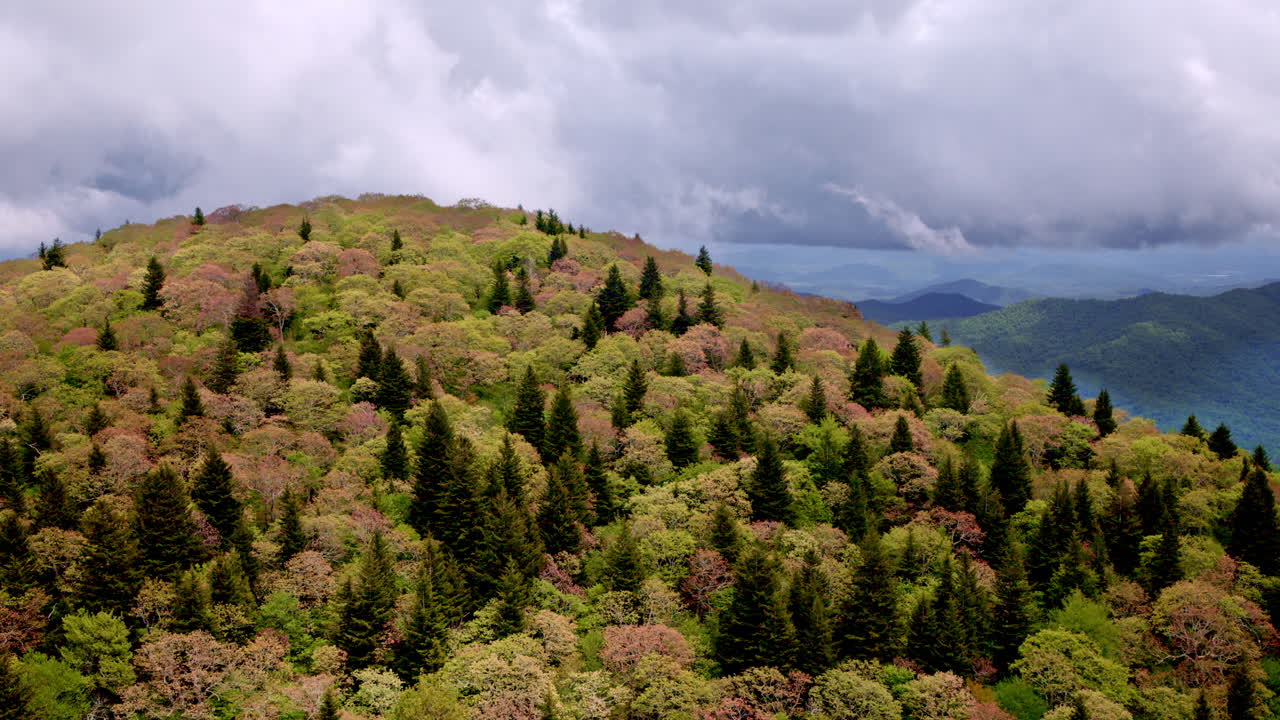 Rainy drone flight over the foggy expanse of the Smoky Mountain backcountry