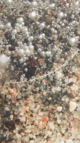 bottom of pond covered with light smooth pebbles. flow of water lifts up oxygen bubbles and moves dark pieces of plant remains. picturesque underwater view
