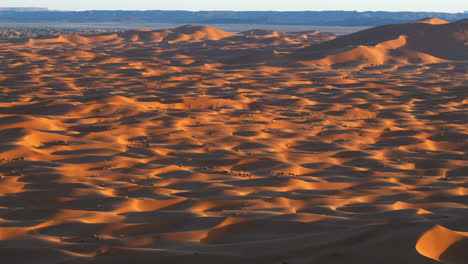 A-panoramic-shot-of-the-dunes-of-Merzouga,-Morocco-with-a-caravan-of-camels-passing-through