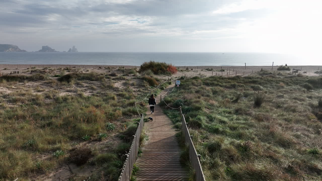 해변 나무 길에서 작은 개를 산책하는 여성의 공중 드론, 앞으로, 하루