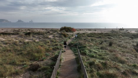 aerial drone of woman walking small dog at beach wooden path, forward, day