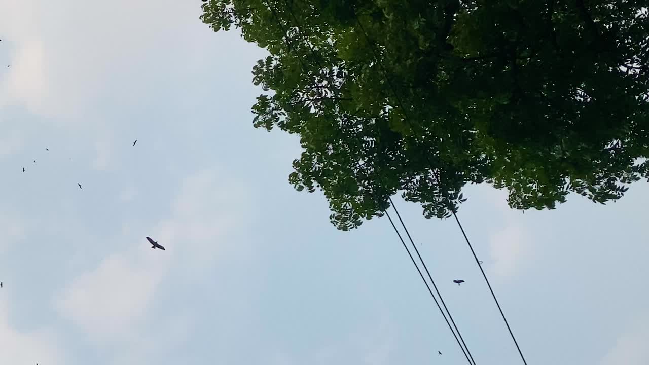 하늘에 시네마틱 여러 매