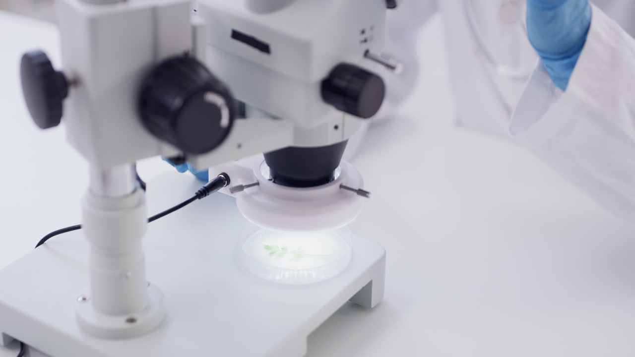 It's time to see beyond the green