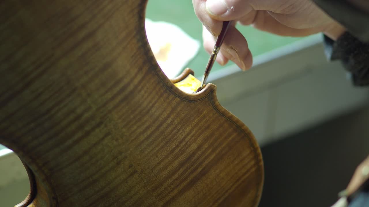 Skilled violinmaker applies varnish to the ribs of a flamed maple back plate with a fine brush, then tampons with a fingertip to create an aged finish in workshop setting, close-up detail shot