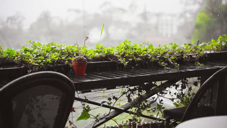 Moody Rainy Day: Cozy Wooden Coffee Balcony Amidst a Rainy Atmosphere