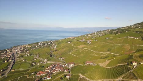 Tiro-De-Drones-Volando-Sobre-Los-Campos-De-Uva-De-Lavaux-Oron,-Wallis-Suiza-Con-El-Lago-De-Ginebra-En-El-Fondo-En-4k