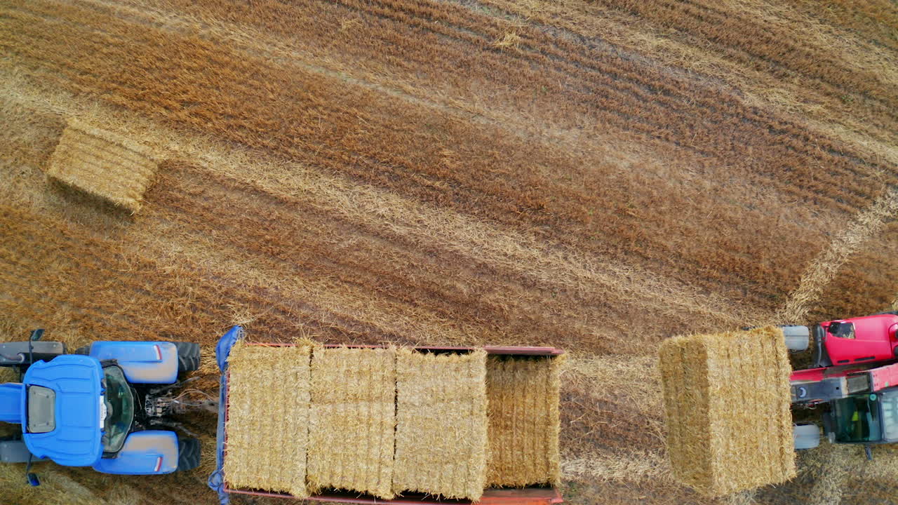Tractors Harvesting Hay Bales from Field
