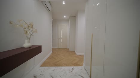 modern hallway with herringbone wood flooring