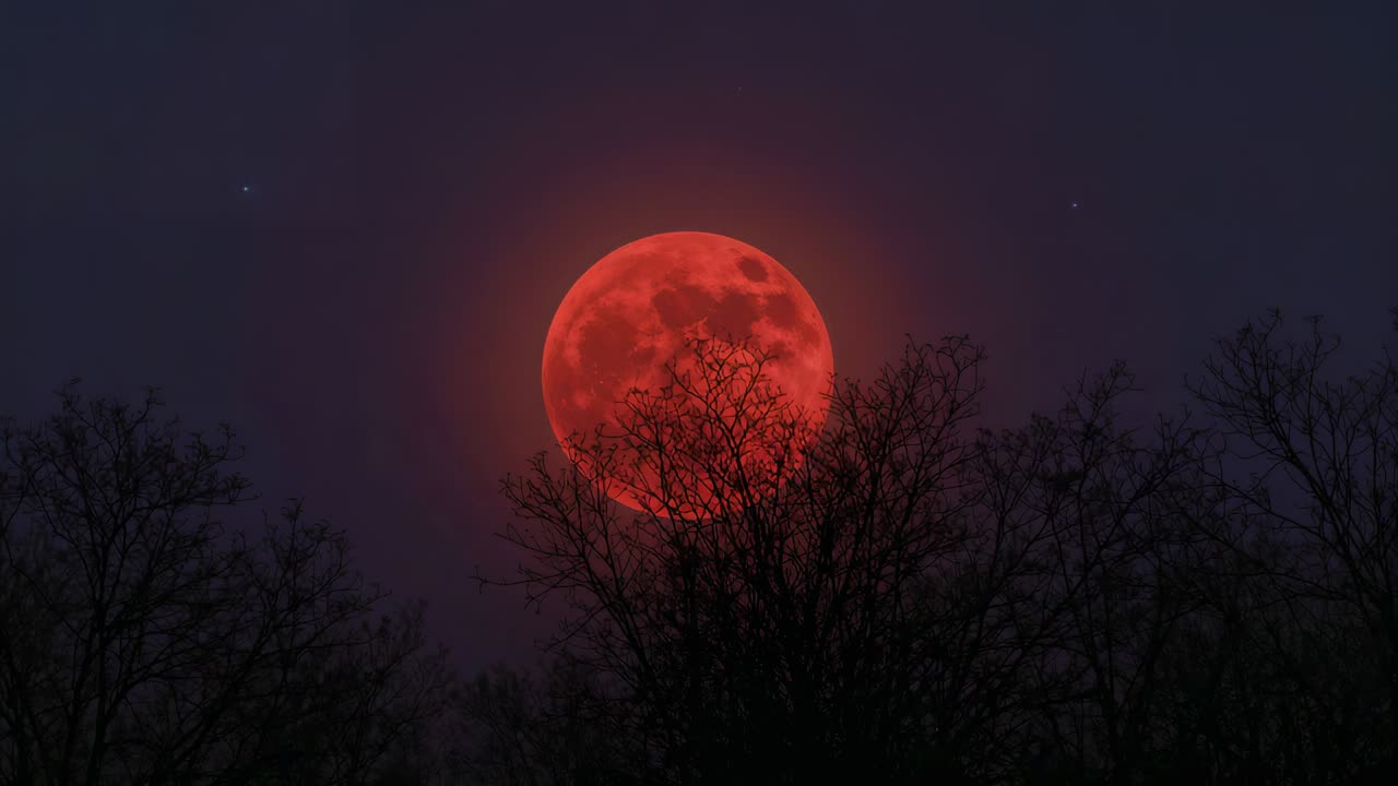 Lua cheia vermelha em movimento descendo sobre a linha das árvores após deriva noturna, halo laranja se deslocando
