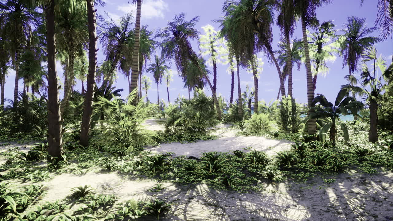Tropical jungle with lush vegetation and tall palm trees under blue sky